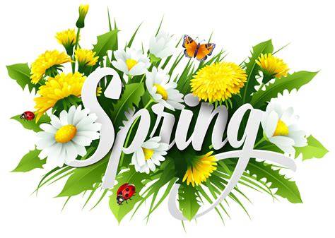 Spring Collection