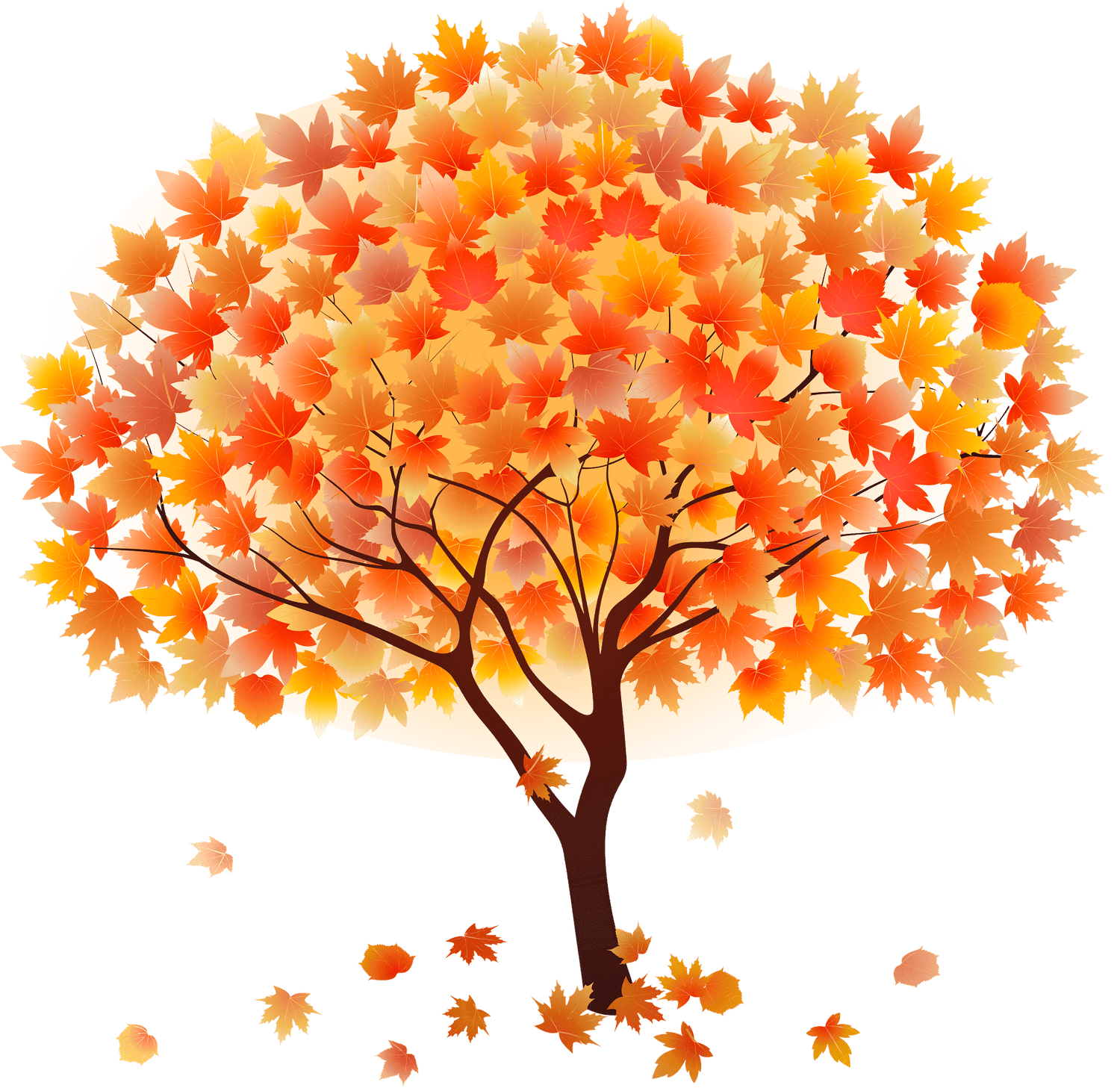 Fall Collections/Products