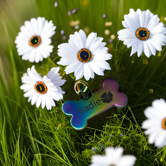 Color Stainless Steel Bone Dog Tag
